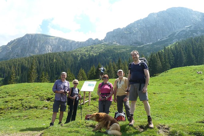 Carpathians in Romania: Bucegi Natural Park With Native Spanish Guide. - Encountering Shepherds and Their Livestock