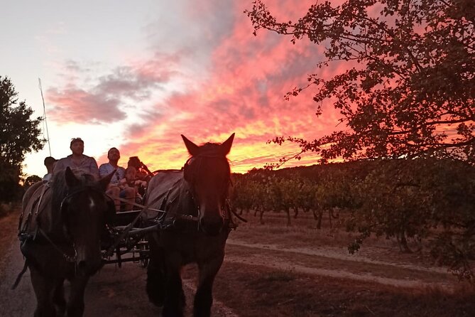 Carriage Rides in the Heart of the Luberon - Meeting and Departure Details