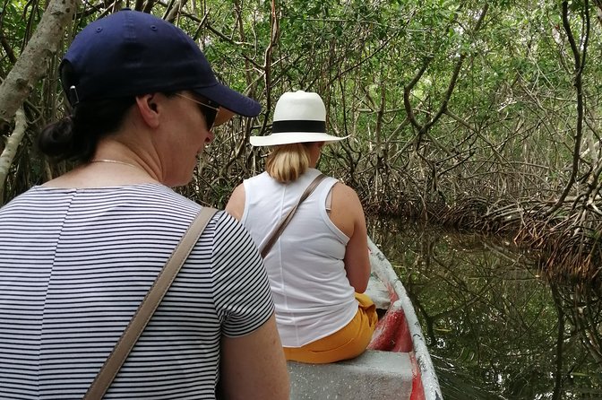 Cartagena : Boquilla and Mangroves Canue Ride (Also for Cruisers) - Booking and Cancellation Policy