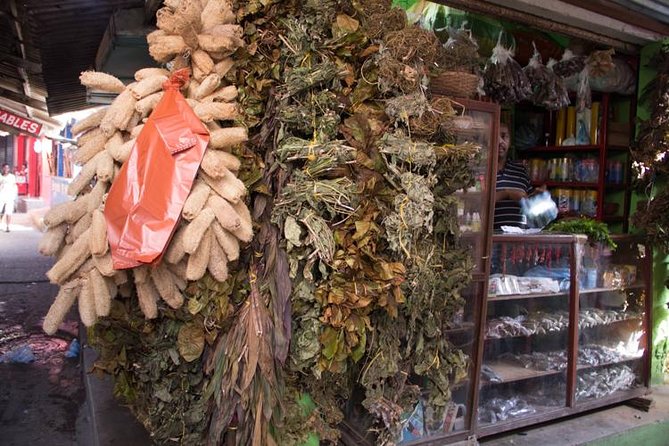 Cartagenas Bazurto Local Market Experience - Tropical Fruit Wonderland