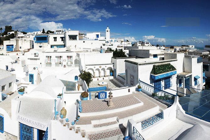 Carthage, Bardo Museum, Sidi Bou Said and Medina Private Day Tour - Discovering Sidi Bou Said