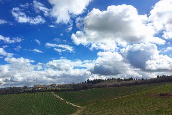 Casa Emma Wine Tasting: A Complete Review - Convenient Meeting Point