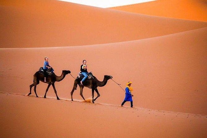 Casablanca 3 Day Itinerary - Visiting the High Atlas Mountains