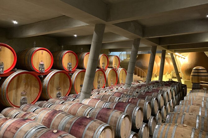 Casablanca Wine Valley LGBT+ - Scenic Countryside Exploration