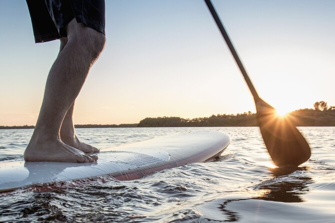 Cascais Stand-Up Paddleboard Rental - Recommended SUP Rental Equipment