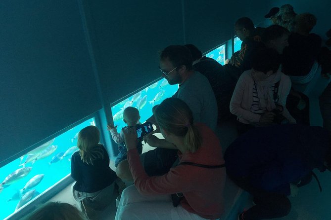 Catamaran in Cala Murtra With Super Underwater Vision - Accessibility and Participation