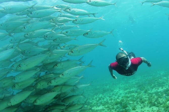 Catamaran Trip With Meal (Eventide Vip) - Booking and Pricing