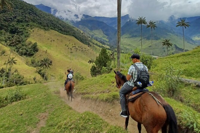 Cavalcade Valley of Cocora Condor Viewpoint - Accessibility and Recommendations