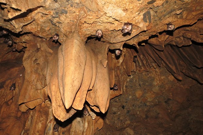 Caving Tour in Rishikesh - 6 Hrs. - Whats Excluded