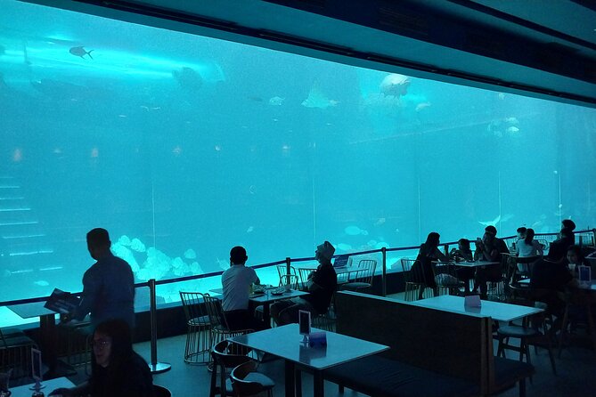 Cebu Ocean Park - Visitor Feedback and Ratings