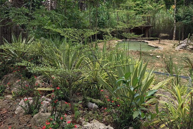 Cebu Safari and Adventure Park - Schedule and Operating Hours