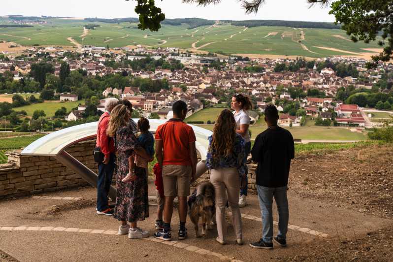 Chablis: Visit of the Grand Cru Vineyard - Pricing and Booking Information