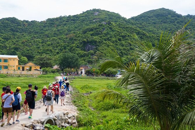 Cham Island Day Tour From Hoi an With Group Tour - Meeting and Pickup Details