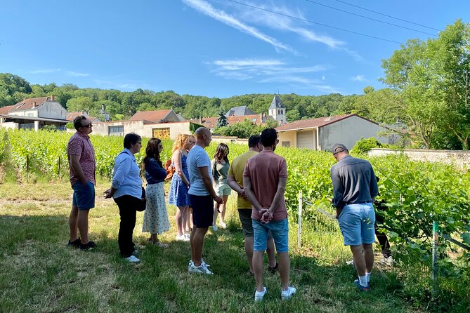 Champagne Cellars & Vineyards Tour From Reims Full Day - Important Information