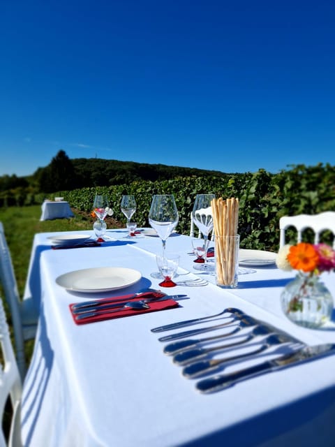 Champagne Vineyards Picnic - Experience Highlights