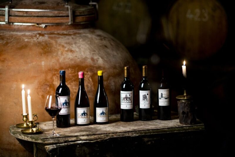 Château De Luc: Unusual Visit and Tasting - Experience Highlights