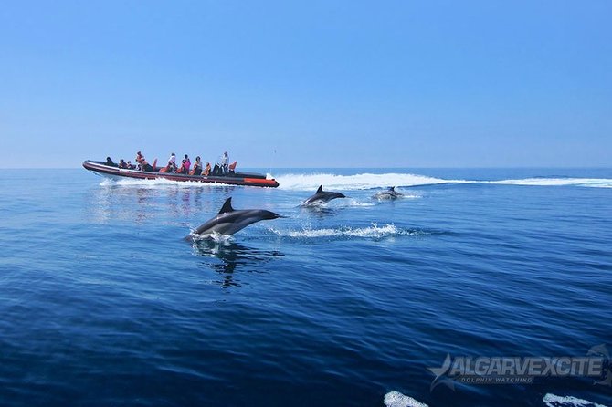 Cheapest Family Friendly Boat Trip From Vilamoura Algarve - Unique Rock Formations Observed