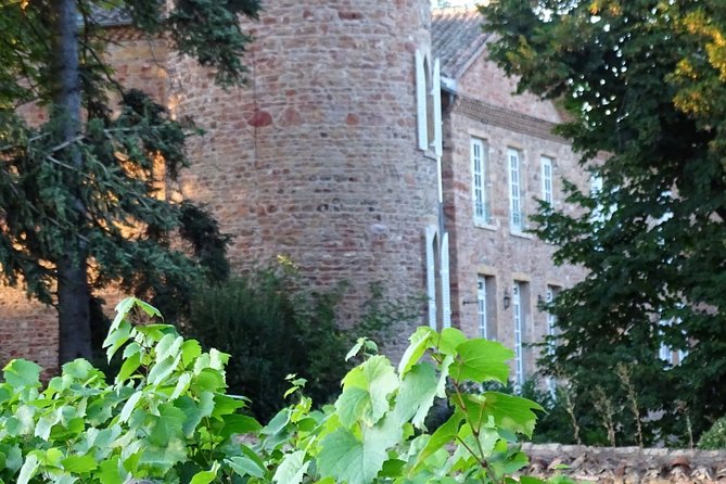 Cheese and Wine Accord Tour at Château De Champ-Renard - Group Size and Accessibility