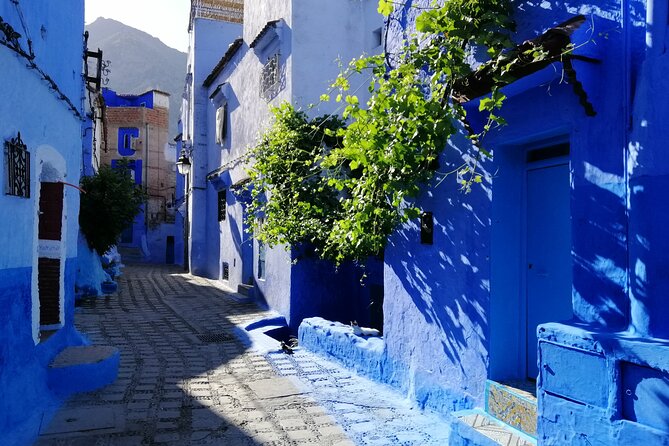 Chefchaouen Private Full Day Excursion & Panoramic of Tangier - Transportation Options