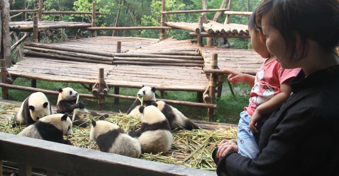 Chengdu: Private Panda Base Tour With 80 Pandas - Panda Base Details