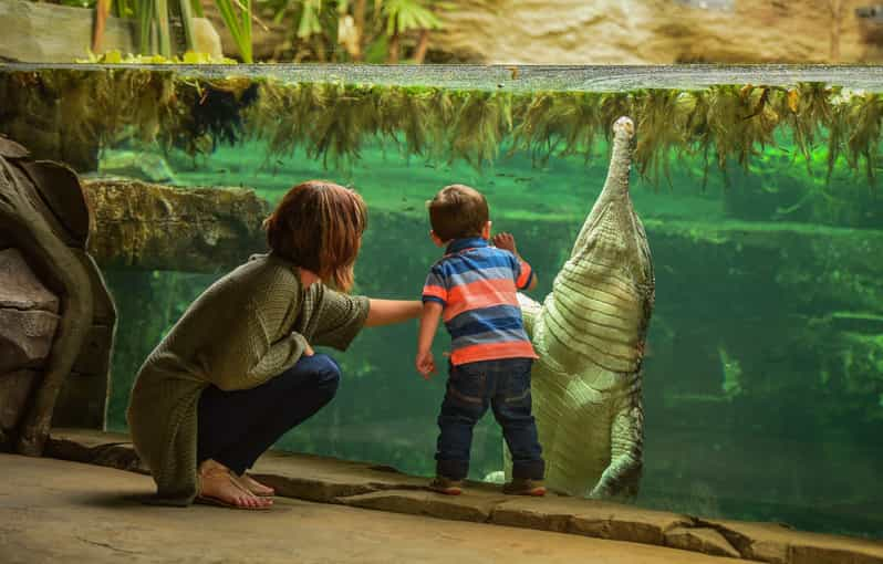 Chester: Chester Zoo Entry Ticket - Visitor Reviews