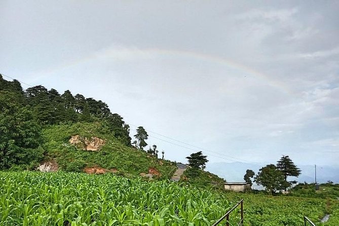 Chhaskhet Nature Walk - Review Insights