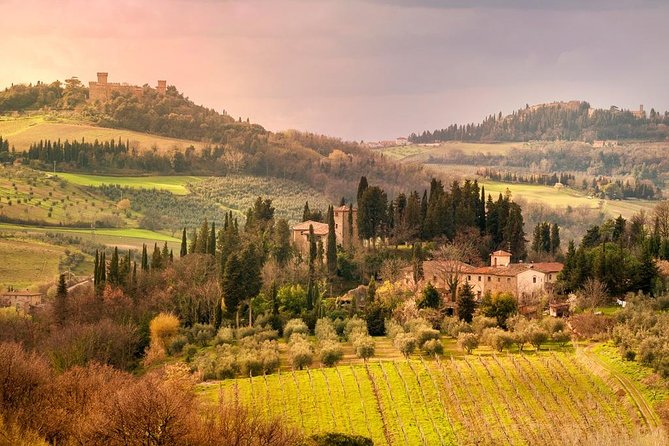 Chianti and Castle Small Group Tour From San Gimignano - Inclusions and Exclusions