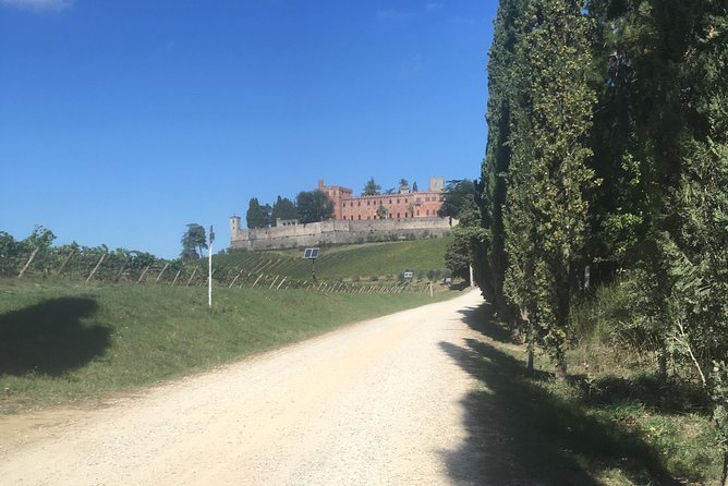 Chianti Classico E-Bike Tour - Inclusions and Exclusions