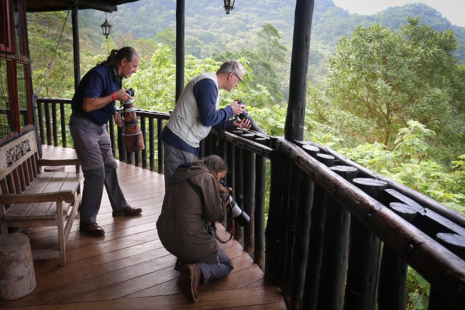 Chicaque Cloud Forest Birding - Guided Tours
