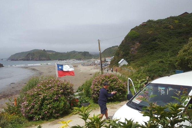 Chiloe Island - Puñihuil Tour - Engaging Guide Commentary