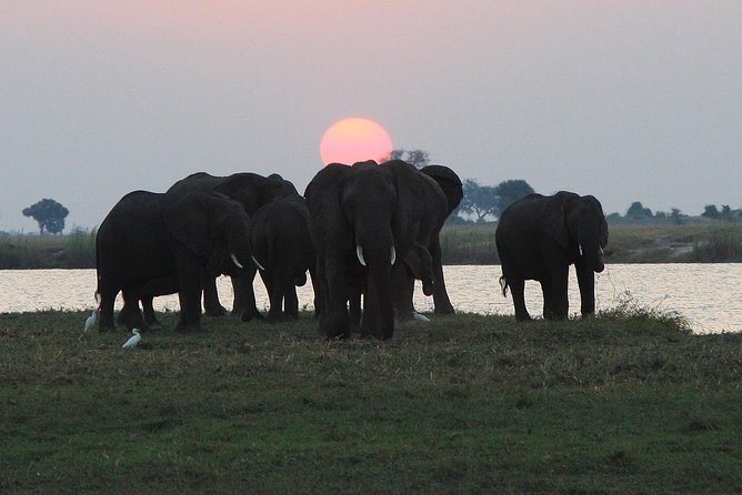 Chobe 3hr Sunset Boat Cruise - Onboard Refreshments and Amenities