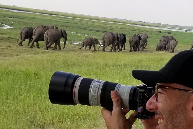 Chobe Day Trip From Victoria Falls Zimbabwe - Customer Reviews