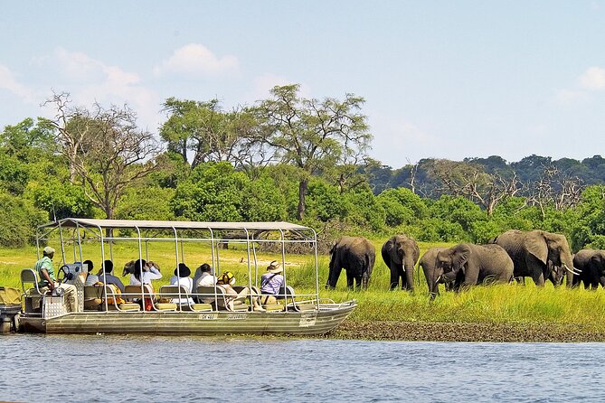 Chobe Day Trip To Botswana From Livingstone - Meeting and Pick-up Process