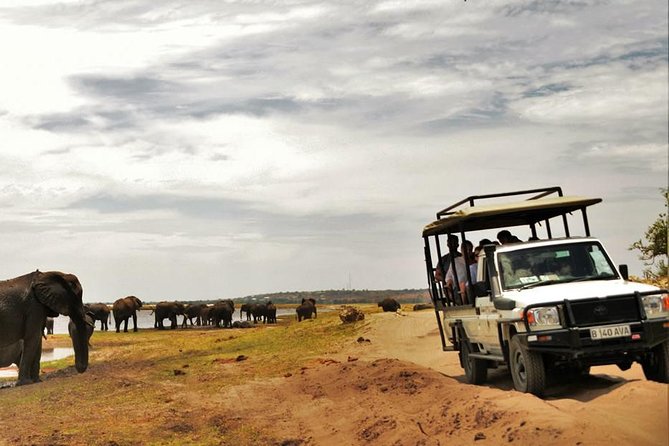 Chobe Extended Day Trip From Victoria Falls - Zimbabwe - Included Amenities