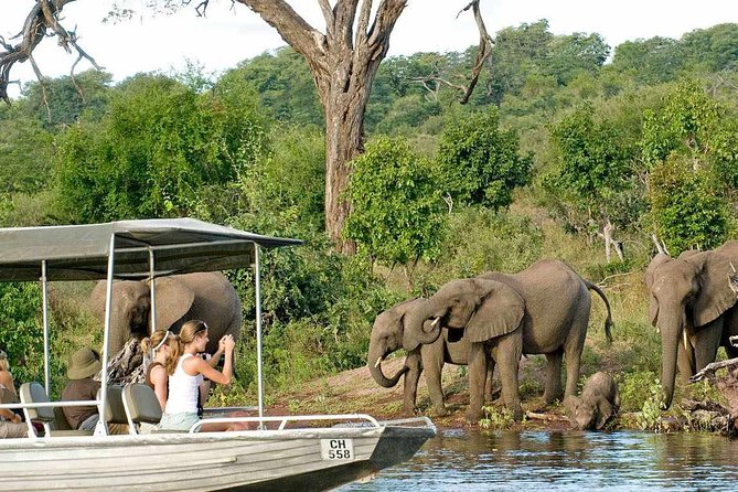 Chobe Full Day Trip - Pricing and Cancellation Policy