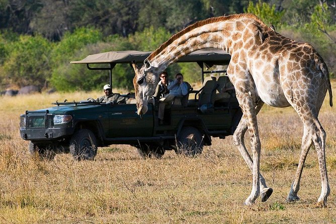 Chobe Full Day Trip From Victoria Falls - Pricing and Booking Information