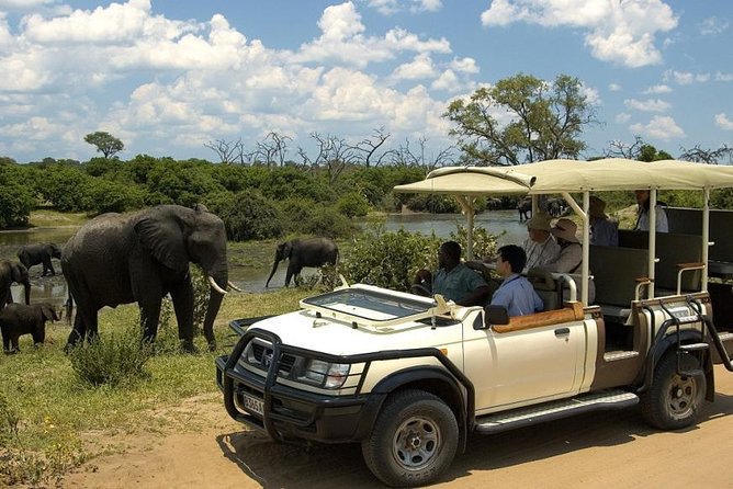 Chobe Full Day Trip - Pricing Information