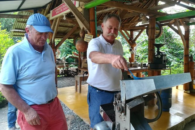 Chocolate Tour and Tropical Fruits - Chocolate Production Process