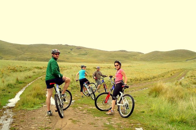 Chucuito Bike Tour From Puno - Health and Safety Considerations
