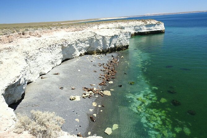City Tour and Sea Lions at Punta Loma From Puerto Madryn - Inclusions