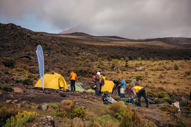 Climbing Kilimanjaro Through 7 Days Machame Route - Daily Health Monitoring