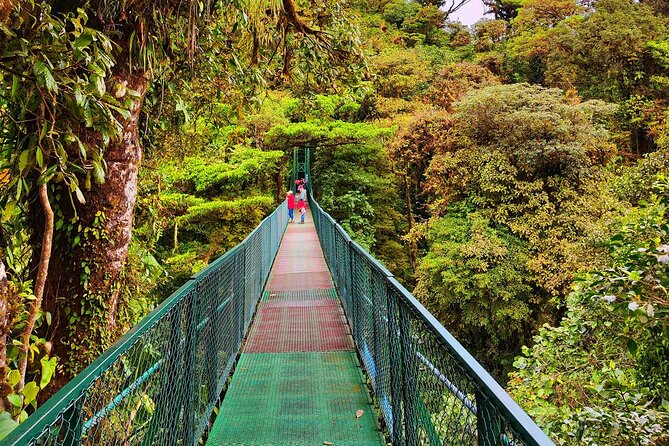 Cloud Forest Hanging Bridges With a Local Naturalist Tour Guide - Traveler Reviews and Feedback