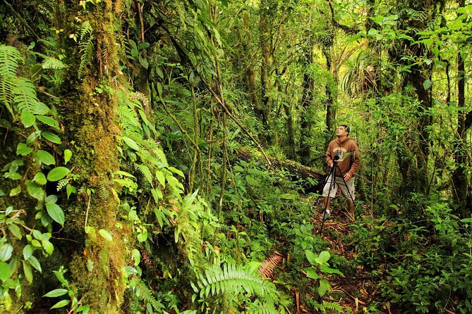 Cloud Forest Hike at Juan Castro Blanco National Park - Traveler Feedback and Recommendations