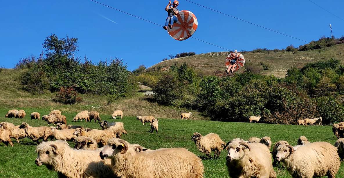 Cluj: Outdoor Activities Day Trip With Zip Line and Hike - Activities and Experiences