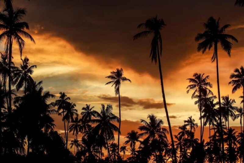 Coast to Culture 3 Days Galle/Mirissa to Ella,Kandy,Sigiriya - Itinerary Highlights: Day 1