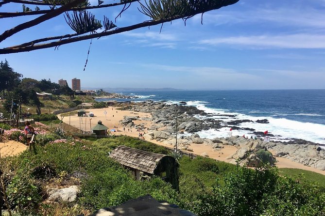 Coastal Charms and Vineyard Bliss With Isla Negra & Undurraga - Exploring Isla Negra