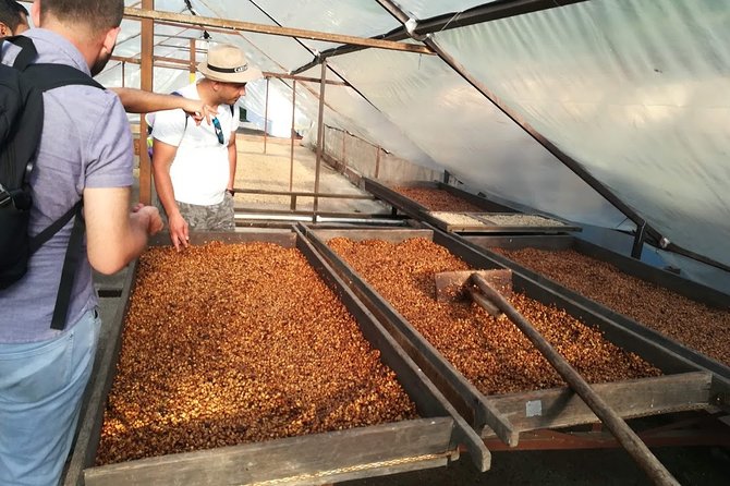 Coffee Experience - Coffee Tour in Medellin - Accessibility and Inclusion