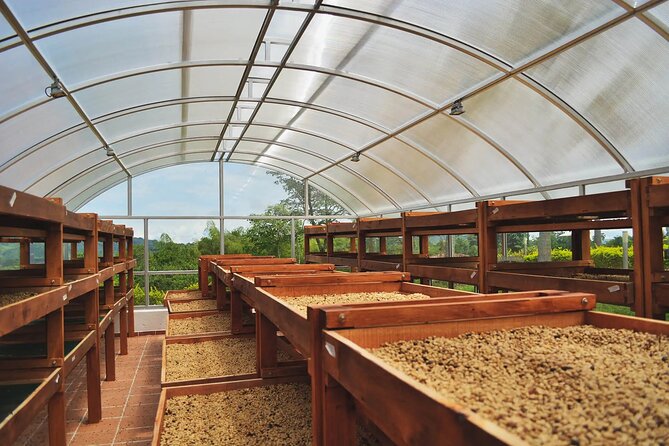 Coffee Farm and Santa Rosa Hot Springs Tour From Pereira or Armenia - Accessibility and Health Restrictions