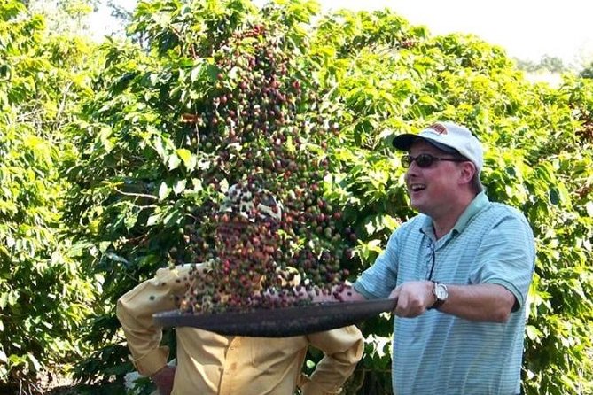Coffee Farm Tour 80 Km From São Paulo and Breakfast - 8 Hours - Historical Significance