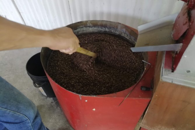 Coffee Tour La Victoria and Waterfalls in Minca - Private Tour - Reviews and Ratings